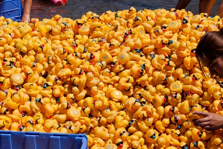 LOS GATOS, CA, USA - JUNE 12: The rubber duckies are kicking off their summer at the 4th Annual Silicon Valley Duck Race in Vasona Lake Park. June 12, 2011 in Los Gatos, CA, USAのeditorial素材