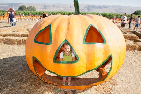In the United States, the carved pumpkin was first associated with the harvest season in general, long before it became an emblem of Halloween.のeditorial素材