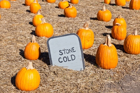 In the United States, the carved pumpkin was first associated with the harvest season in general,...