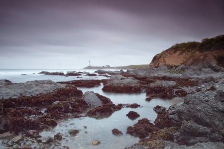Pacific ocean coast near Pigeon Point Lighthouse.の写真素材