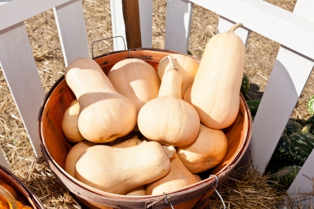 the carved pumpkinの写真素材