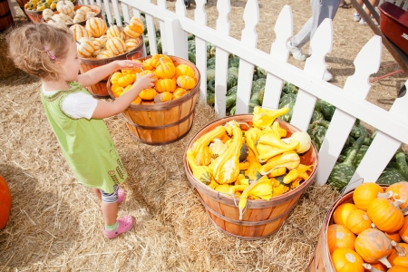In the United States, the carved pumpkin was first associated with the harvest season in general, long before it became an emblem of Halloween.の写真素材