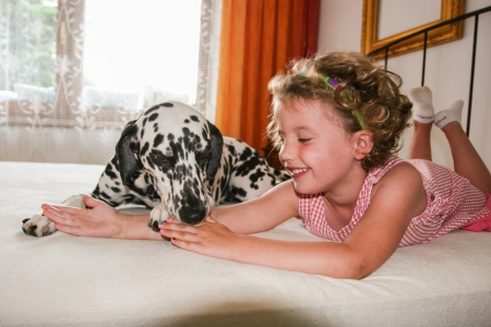 Two pals playing on the bed together.の写真素材