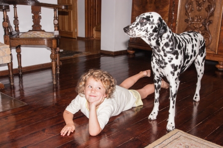 Two pals playing on the floor together.の写真素材