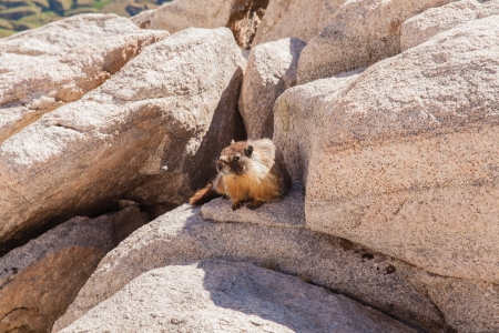 Mount Whitney Trail is a trail that climbs Mount Whitney. It starts at Whitney Portal, 13 miles (21 km) west of the town of Lone Pine, California.の写真素材