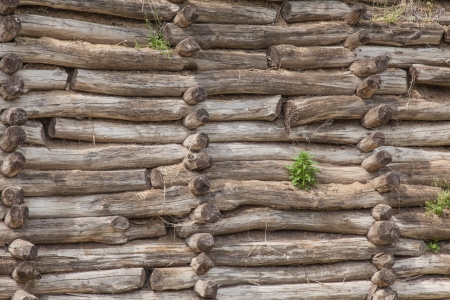 Archaeological open air museum Biskupin is an archaeological site and a life-size model of an Iron Age fortified settlement in north-central (Wielkopolska) Poland (Kuyavian-Pomeranian Voivodeship).の写真素材