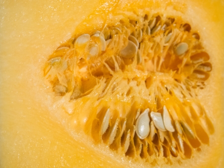 Half of butternut squach with heart shaped seeds.の写真素材