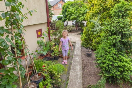 Exploring beautifully landscaped garden with various shrubs and trees.の写真素材