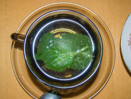 Tea made of freshly picked melissa and mint leavesの写真素材