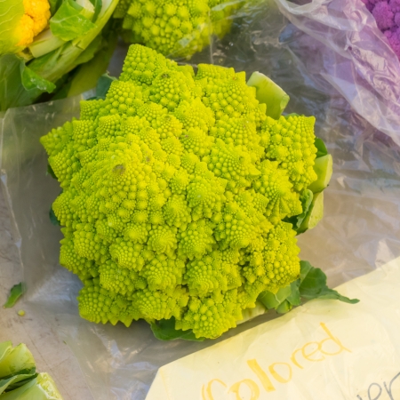 Romanesque cauliflower is an edible flower bud of the species Brassica oleracea.の写真素材
