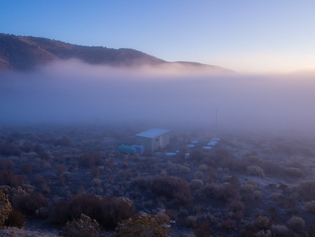 Cold and foggy morning at Topaz Lake in Nevadaの写真素材