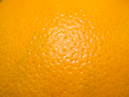 Orange is the fruit of the citrus species Citrus Ã âsinensis in the family Rutaceae.の写真素材