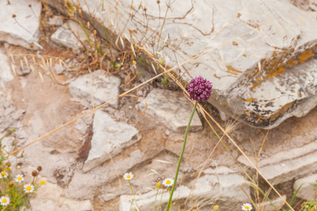 House of Augustus is the first major site upon entering the Palatine Hill in Rome, Italy. It served as the primary residence of Caesar Augustus during his reign.の写真素材
