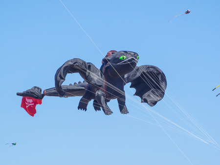 BERKELEY, CA/USA - July 26 2014: Hundreds of kites of all sizes are flown by amateurs and professionals in Cezar Chavez Park during Berkeley Kite Festival.のeditorial素材