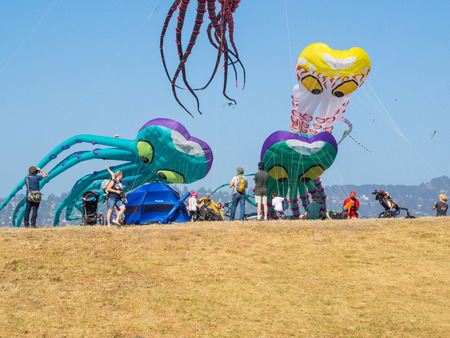 BERKELEY, CA/USA - July 26 2014: Hundreds of kites of all sizes are flown by amateurs and professionals in Cezar Chavez Park during Berkeley Kite Festival.のeditorial素材