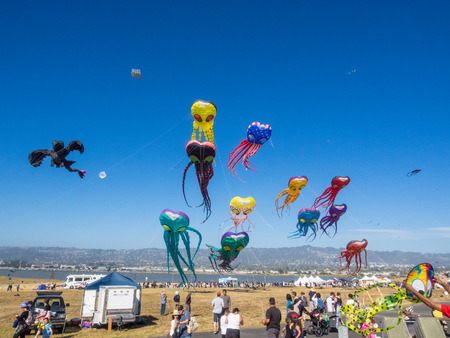 BERKELEY, CA/USA - July 26 2014: Hundreds of kites of all sizes are flown by amateurs and professionals in Cezar Chavez Park during Berkeley Kite Festival.のeditorial素材
