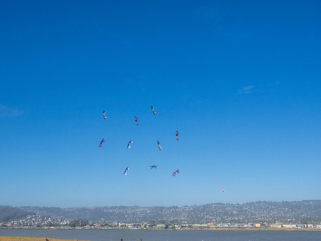 BERKELEY, CA/USA - July 26 2014: Hundreds of kites of all sizes are flown by amateurs and professionals in Cezar Chavez Park during Berkeley Kite Festival.のeditorial素材