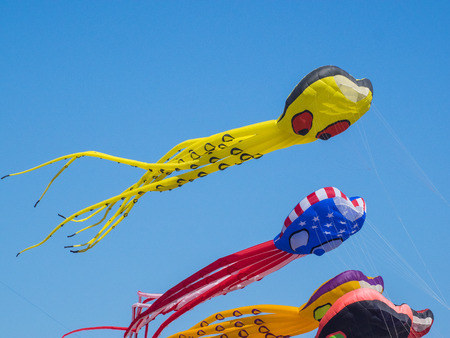 BERKELEY, CA/USA - July 26 2014: Hundreds of kites of all sizes are flown by amateurs and professionals in Cezar Chavez Park during Berkeley Kite Festival.のeditorial素材