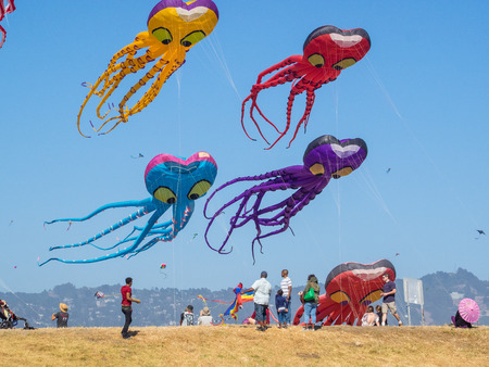 BERKELEY, CA/USA - July 26 2014: Hundreds of kites of all sizes are flown by amateurs and professionals in Cezar Chavez Park during Berkeley Kite Festival.のeditorial素材