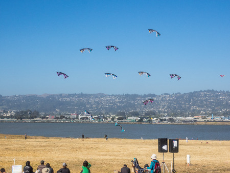BERKELEY, CA/USA - July 26 2014: Hundreds of kites of all sizes are flown by amateurs and professionals in Cezar Chavez Park during Berkeley Kite Festival.のeditorial素材