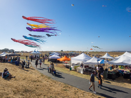 BERKELEY, CA/USA - July 26 2014: Hundreds of kites of all sizes are flown by amateurs and professionals in Cezar Chavez Park during Berkeley Kite Festival.のeditorial素材