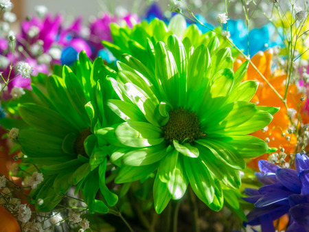 Bouquet of various vividly colorful flowers on a displayの写真素材