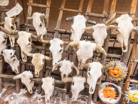 Real cow skulls with horns on rack for saleの写真素材