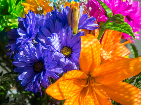 Bouquet of various vividly colorful flowers on a displayの写真素材