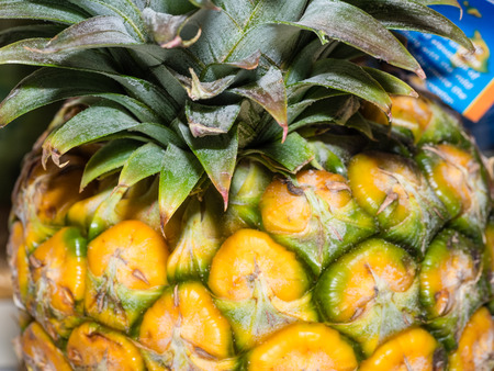 Closeup of whole fresh ripe pineapple fruit.の写真素材