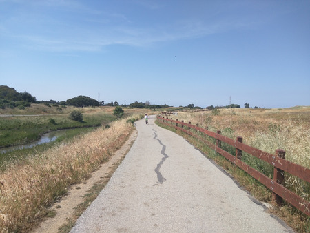 Bicycle ride to Shoreline Lake Park and back.
