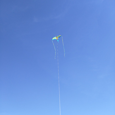 Having fun flying a kite on hot summer day.の写真素材