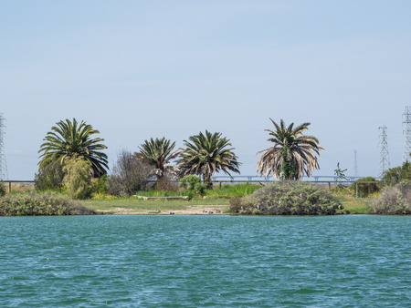 Palo Alto Baylands Nature Preserve is the largest tract of undisturbed marshland remaining in the San Francisco Bay. Fifteen miles of multi-use trails provide access to a unique mixture of tidal and fresh water habitats.の写真素材