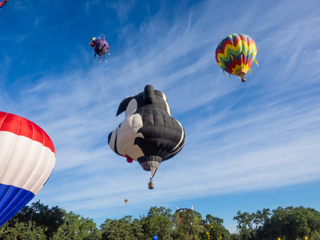 WINDSOR, CA/USA - June 20, 2015: 25th Annual Sonoma County Hot Air Balloon Classic is a yearly event where you can experience balloons up close, watch them launch, and even take tethered rides.のeditorial素材