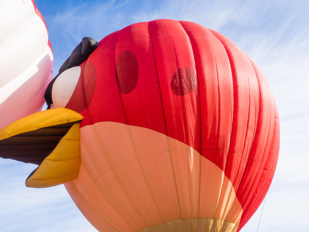 WINDSOR, CA/USA - June 20, 2015: 25th Annual Sonoma County Hot Air Balloon Classic is a yearly event where you can experience balloons up close, watch them launch, and even take tethered rides.のeditorial素材