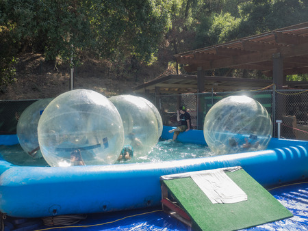 GILROY, CA/USA - July 24-26, 2015: 37th annual Gilroy Garlic Festival is ultimate summer food fair entertaining nearly 100,000 visitors with 50 live concerts, childrenâs activities, arts & crafts, an international cooking competition and extraordinary cのeditorial素材
