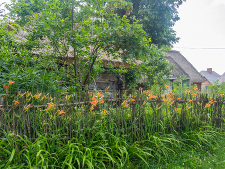 Lublin Open Air Village Museum features architectural monuments that represent the regions of Podlachia, the Lublin Polesia, the Vistula Region, Roztocze, the Lublin Upland and Lublin Land.のeditorial素材