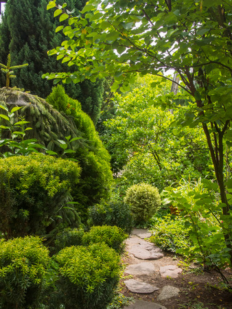 Beautiful landscaped garden with various shrubs and trees.の写真素材