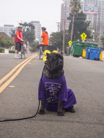 SAN JOSE, CA/USA - October 10, 2015: San Jose Walk to End Alzheimerâs is a part the worldâs largest event to raise awareness and funds for Alzheimerâs care, support and research.のeditorial素材
