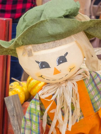 Scarecrow is a decoy or mannequin in the shape of a human. It is usually dressed in old clothes and placed in open fields to discourage birds such as crows or sparrows from disturbing and feeding on recently cast seed and growing crops.の写真素材
