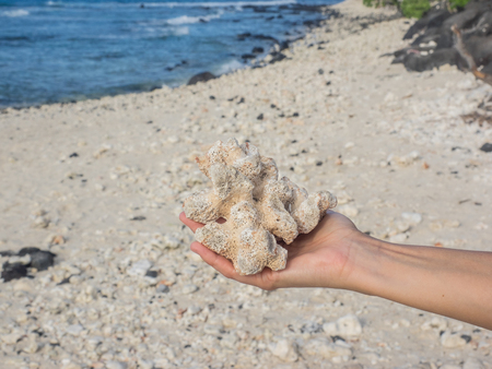 Waikoloa Beach is an area located on the South Kohala coast on the island of Hawaii and is located in the census-designated place of Puako.の写真素材