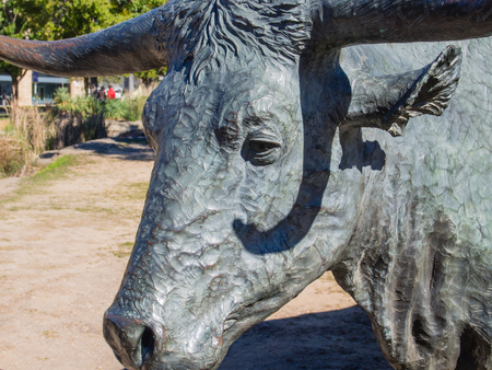 Large sculpture commemorates nineteenth century cattle drives that took place along the Shawnee Trail, the earliest and easternmost route by which Texas longhorn cattle were taken to northern railheads.の写真素材