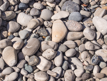 Pebbles on a shingle beach in Ano Nueavo State Park.