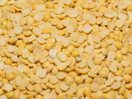 Pigeon pea (Cajanus cajan) is a perennial legume from the family Fabaceae.の写真素材