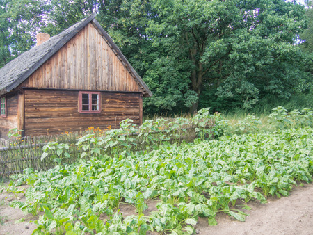 Museum of Folk Culture in Osiek by the river Notec is open-air museum in Poland, presents the folk culture of northern Wielkopolska.のeditorial素材