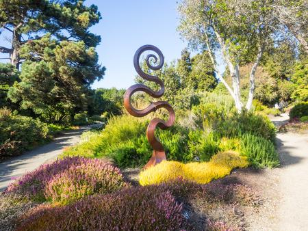 Mendocino Coast Botanical Gardens are located in Fort Bragg, California, USA between California's Highway One and the Pacific Ocean. The garden property includes canyons, wetlands, coastal bluffs, and a closed-cone pine forest.の写真素材