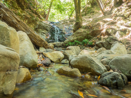 Uvas Canyon County Park is natural park is located in upper Uvas Canyon on the eastern side of the Santa Cruz Mountains, west of Morgan Hill, California.の写真素材