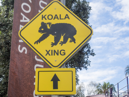 Yellow koala crossing Australian road warning sign.の写真素材