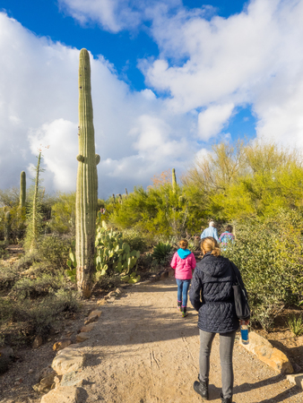 Arizona-Sonora Desert Museum is a 98-acre zoo, aquarium, botanical garden, natural history museum, publisher, and art gallery founded in 1952. Located just west of Tucson, Arizona.のeditorial素材