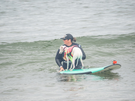 Pacifica, CA/USA - August 5, 2017: The second annual World Dog Surfing Championships brought together the top dog surfers and their humans.のeditorial素材