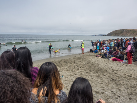 Pacifica, CA/USA - August 5, 2017: The second annual World Dog Surfing Championships brought together the top dog surfers and their humans.のeditorial素材
